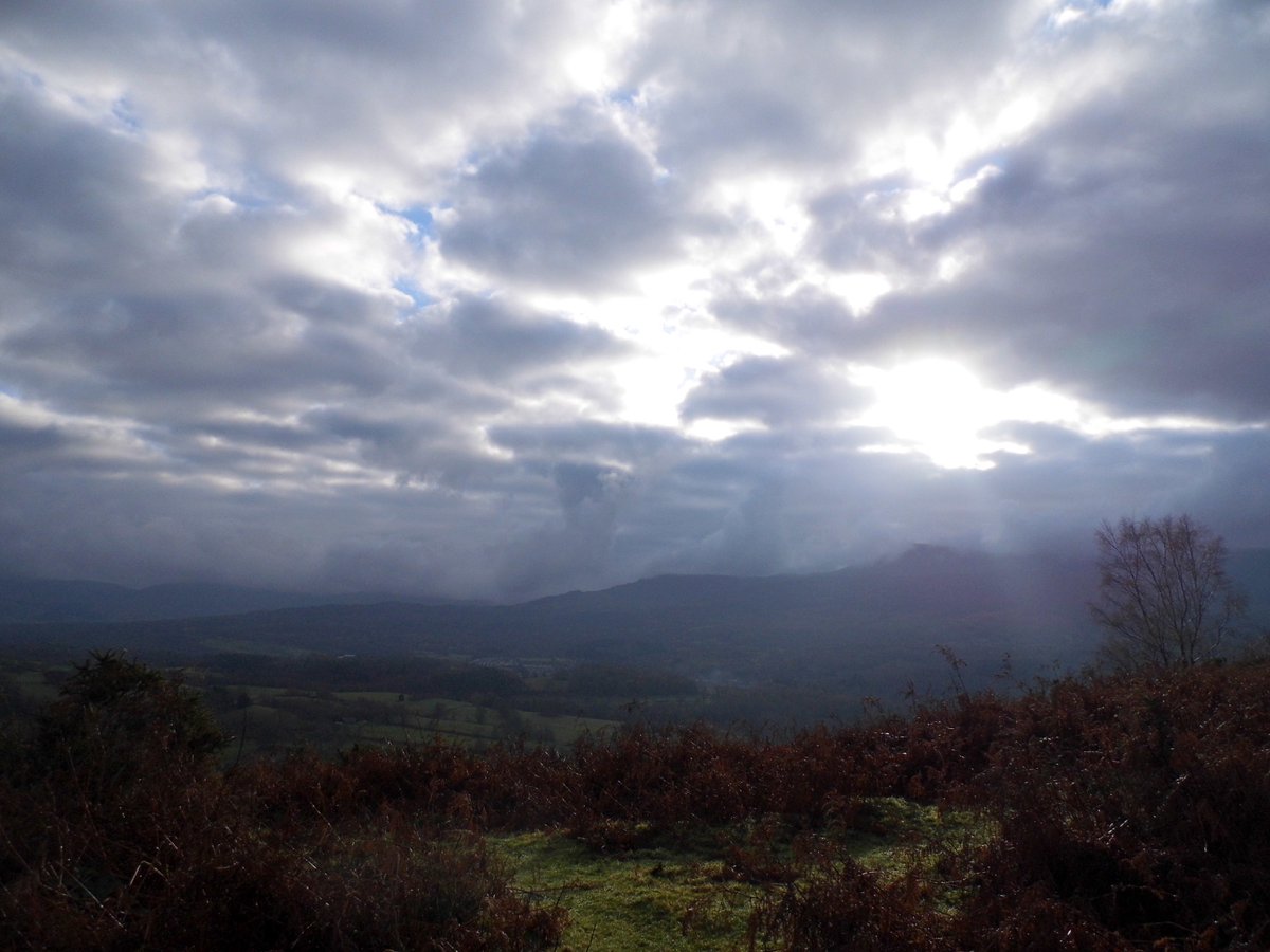 EMJones_writing's tweet photo. O Lanelltyd bore ‘ma. From Llanelltyd this morning. https://t.co/dIRpdcoUT9