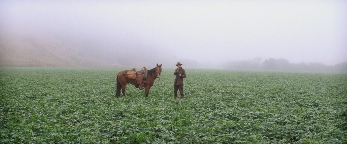 LostInFilm's tweet photo. 'There Will Be Blood' (2007, Paul Thomas Anderson). Cinematography: Robert Elswit. https://t.co/qsDOkNYQus