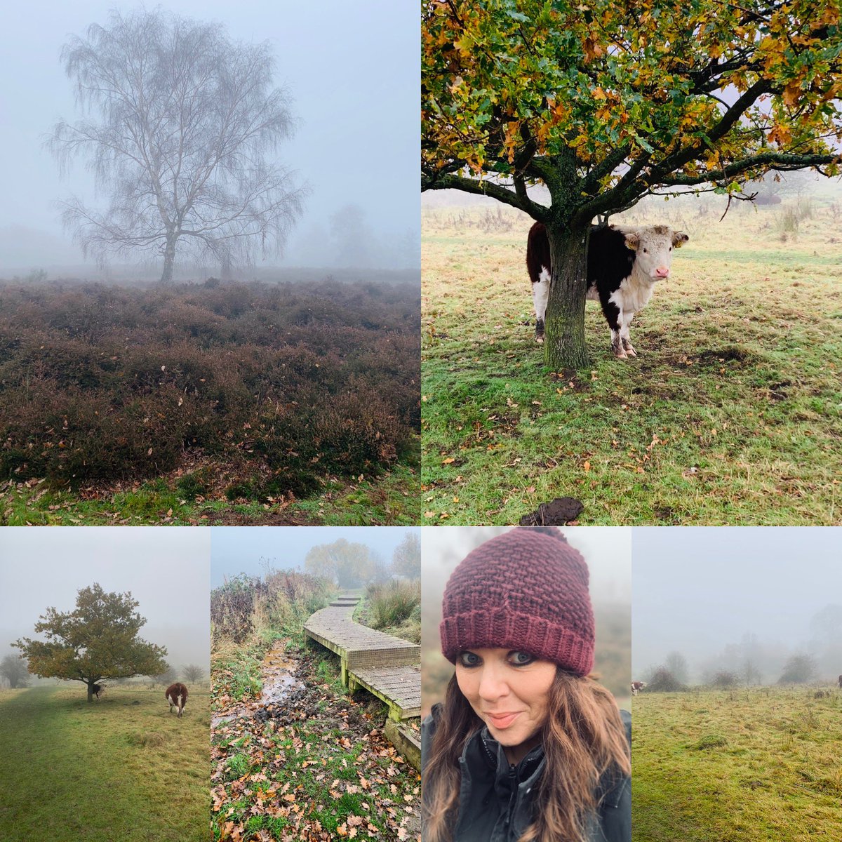lizmead867's tweet photo. Cows in the mist ... ๐ฎ
#Autumn ๐ in the park, walking for @KickOffAt3 and the #lockdown #Spinoffat3 #runoffat3 challenge to raise awareness @DKMS_uk and the need to donate cash at
https://t.co/6BvoUm00bI
Please donโt forget to go on the donor register list โค๏ธ
#HappyFriday๐ท https://t.co/kLpKw8pPe8