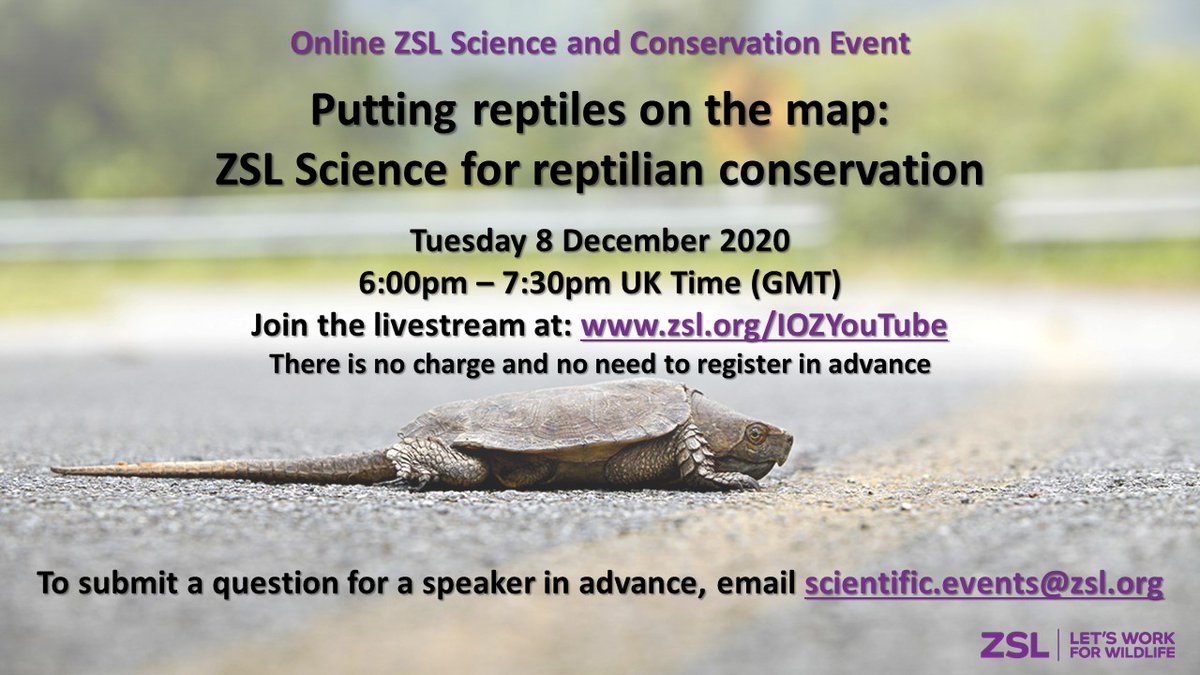 ZSLScience's tweet photo. @MonniKaboom @OfficialZSL @rikkigumbs @EDGEofExistence @tapley_benjamin @zsllondonzoo @ZSL_Learning @ZSLconservation @ZSLAmerica @ZSLLibrary @ARC_Bytes @ConserveHerps @ssarherps @ARGroupsUK @HerpResearch @REPTILESMag Join us on the 8th Dec to hear about the fascinating yet threatened world of #reptiles.
This #FreeEvent will be livestreamed to our #Science &amp; #Conservation @YouTube channel: https://t.co/5iTsXsZCn5 - make sure you subscribe if you want to receive a notification when we go live! https://t.co/etJ5vuINk6