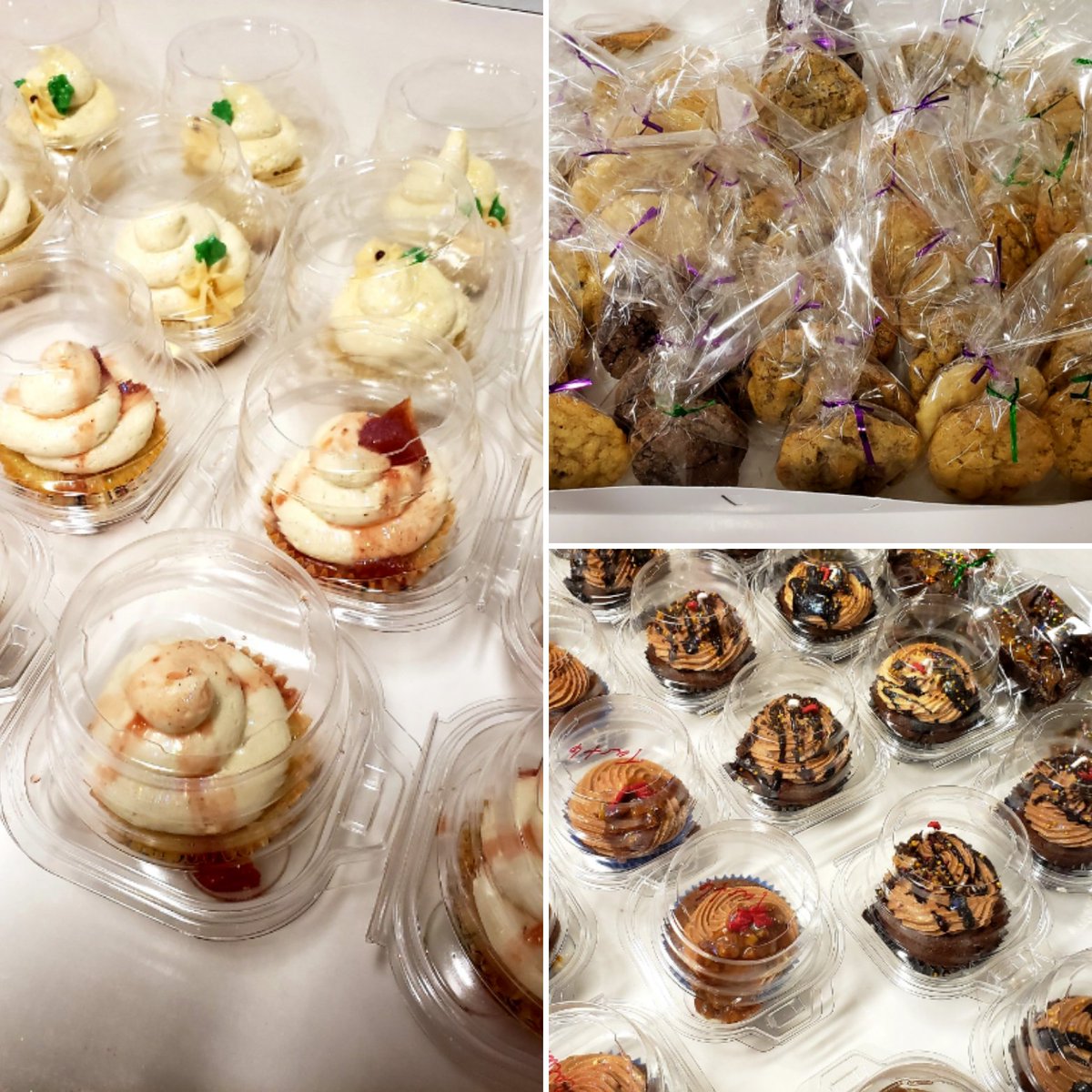 Rachael Smoldt tweet media