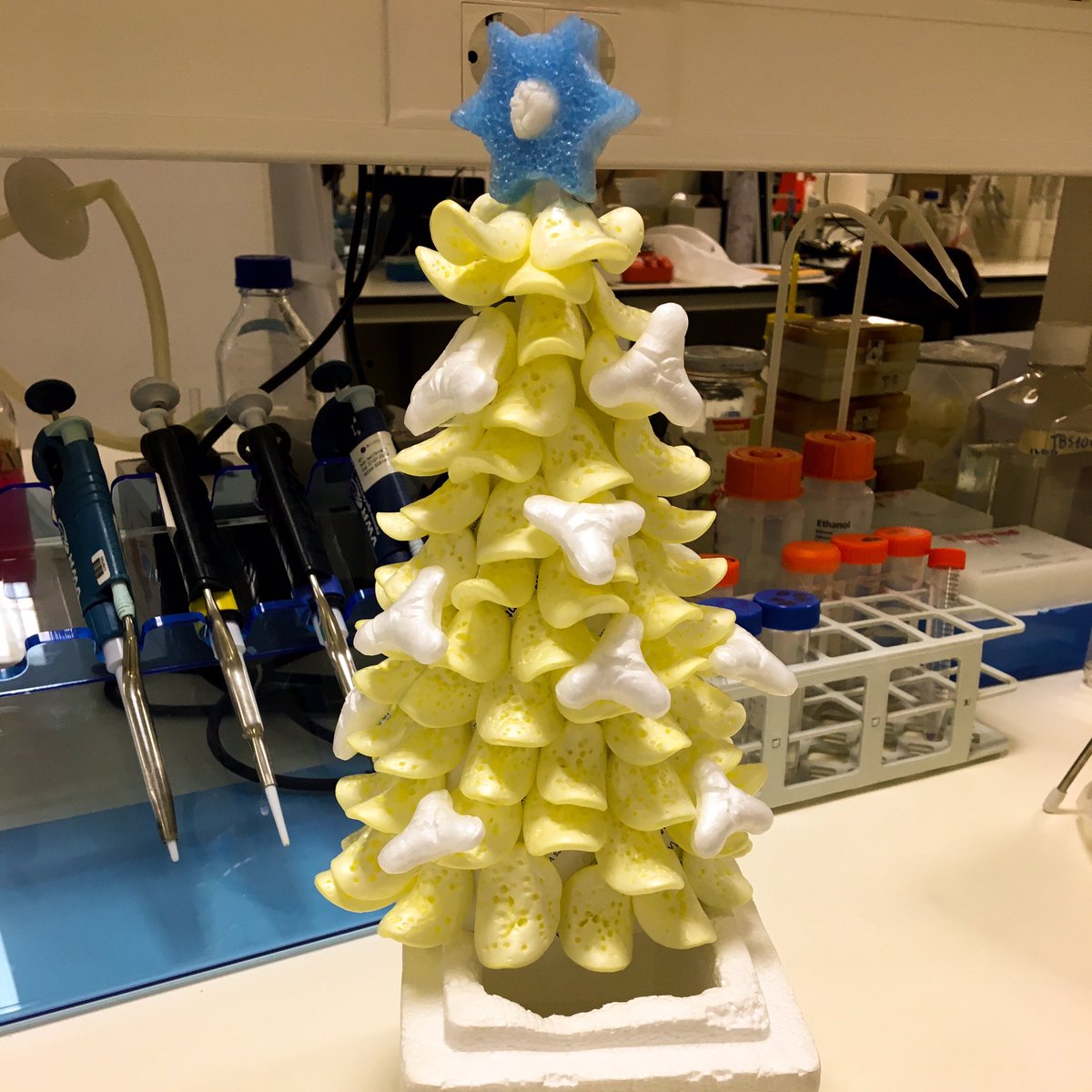 Even (specially) in these difficult times, #Christmas spirit is coming to our lab! #reuse #recycle #reduce 
Credits to the talent of one of our brilliant #PhD_students - Marisa Pereira!
#ibimed <a href="/UnivAveiro/">Universidade Aveiro</a> #lablife