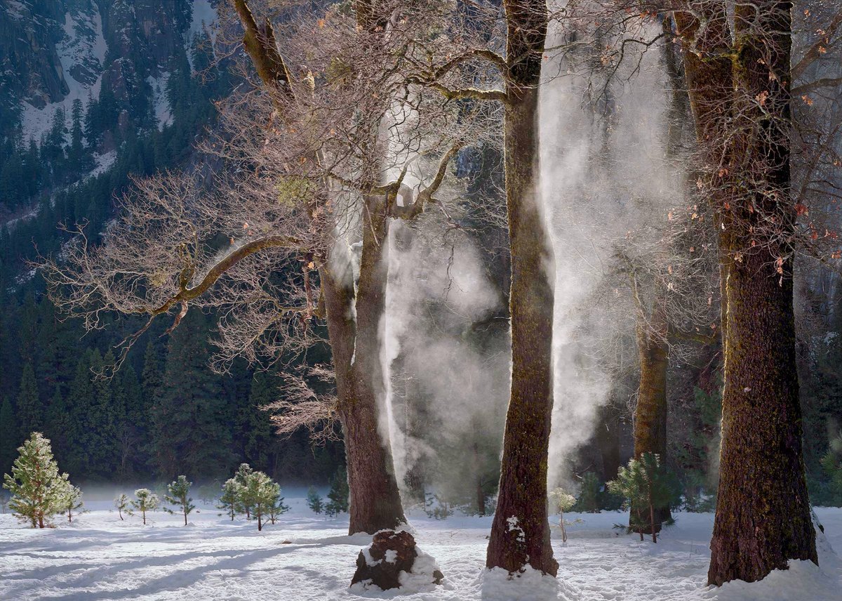 TheAnselAdams's tweet photo. We have a new exhibit on display at The Ansel Adams Gallery! 40 Years in Yosemite: A Retrospective on Charles Cramer. link in bio. #AAGFilmFridays

This beautiful body of work will be up until January 11th, 2021.
#TheAnselAdamsGallery  #CharlesCramer #40YearsinYosemite https://t.co/eXRVvEpnTS