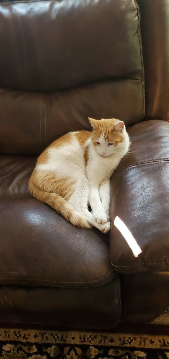 Hawt_dog (@hawtdog17) on Twitter photo 