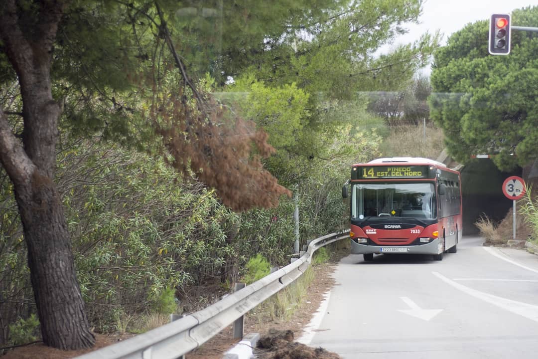 HortalimentaVLC's tweet photo. Inma Donate, és l'última finalista que opta al premi especial #EMT amb #rutaenbusserie1: ‘Tenemos la suerte de tener en València el precioso Parque Natural de la Albufera y la mejor forma de poder visitarlo de forma sostenible es usando los autobuses de la EMT’. #ClickAlHorta https://t.co/9SYHf8vbxe