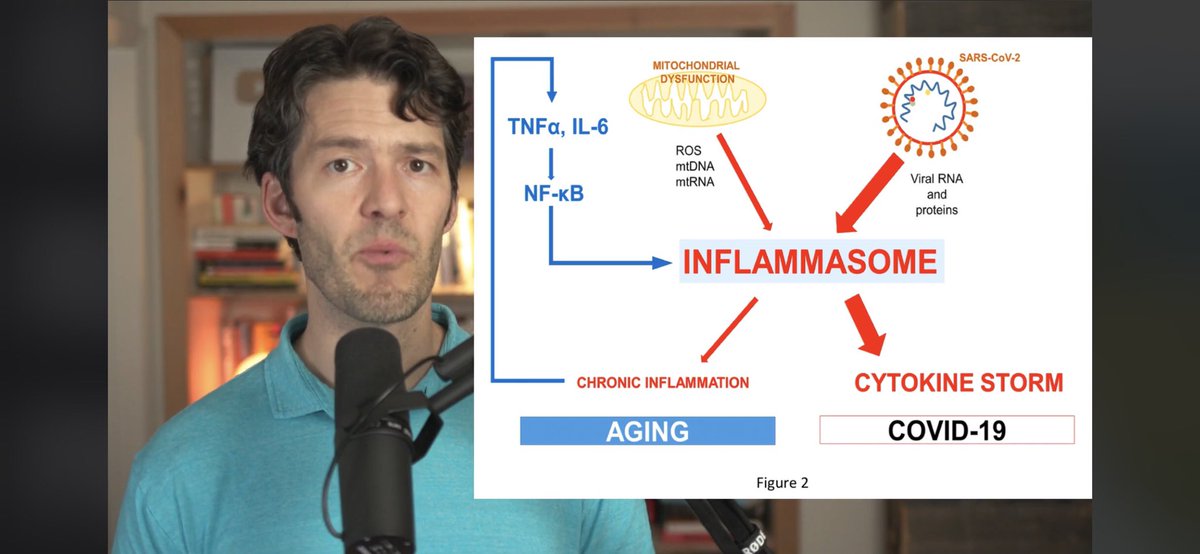 natureboyrr's tweet image. #FridayThoughts #TwoPaths

In 2020 some looked to the lockdown, masks, vaccine path. 

But what about this path? Food, fasting, movement, sun?

That later path gives vastly better COVID outcomes. AND flu, every virus, bacteria better.

Also CVD, dementia, T2, everything better.