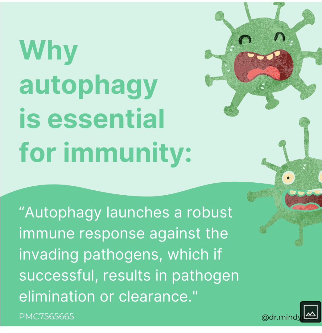 natureboyrr's tweet image. #FridayThoughts #TwoPaths

In 2020 some looked to the lockdown, masks, vaccine path. 

But what about this path? Food, fasting, movement, sun?

That later path gives vastly better COVID outcomes. AND flu, every virus, bacteria better.

Also CVD, dementia, T2, everything better.