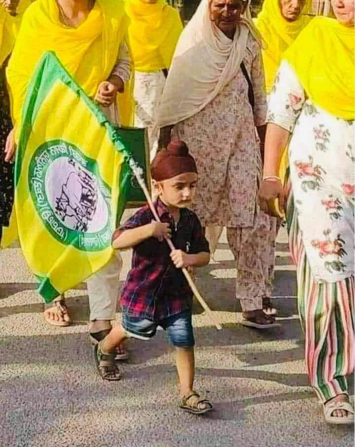 Bhadresh Parmar tweet media