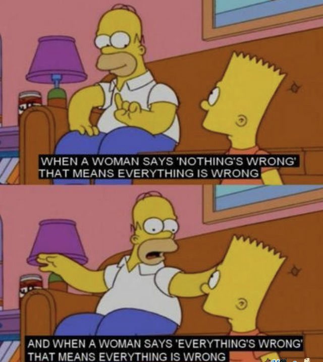 TheCuriousHomer's tweet photo. homer only speaks one language and it’s “facts” https://t.co/YP0ufooZng