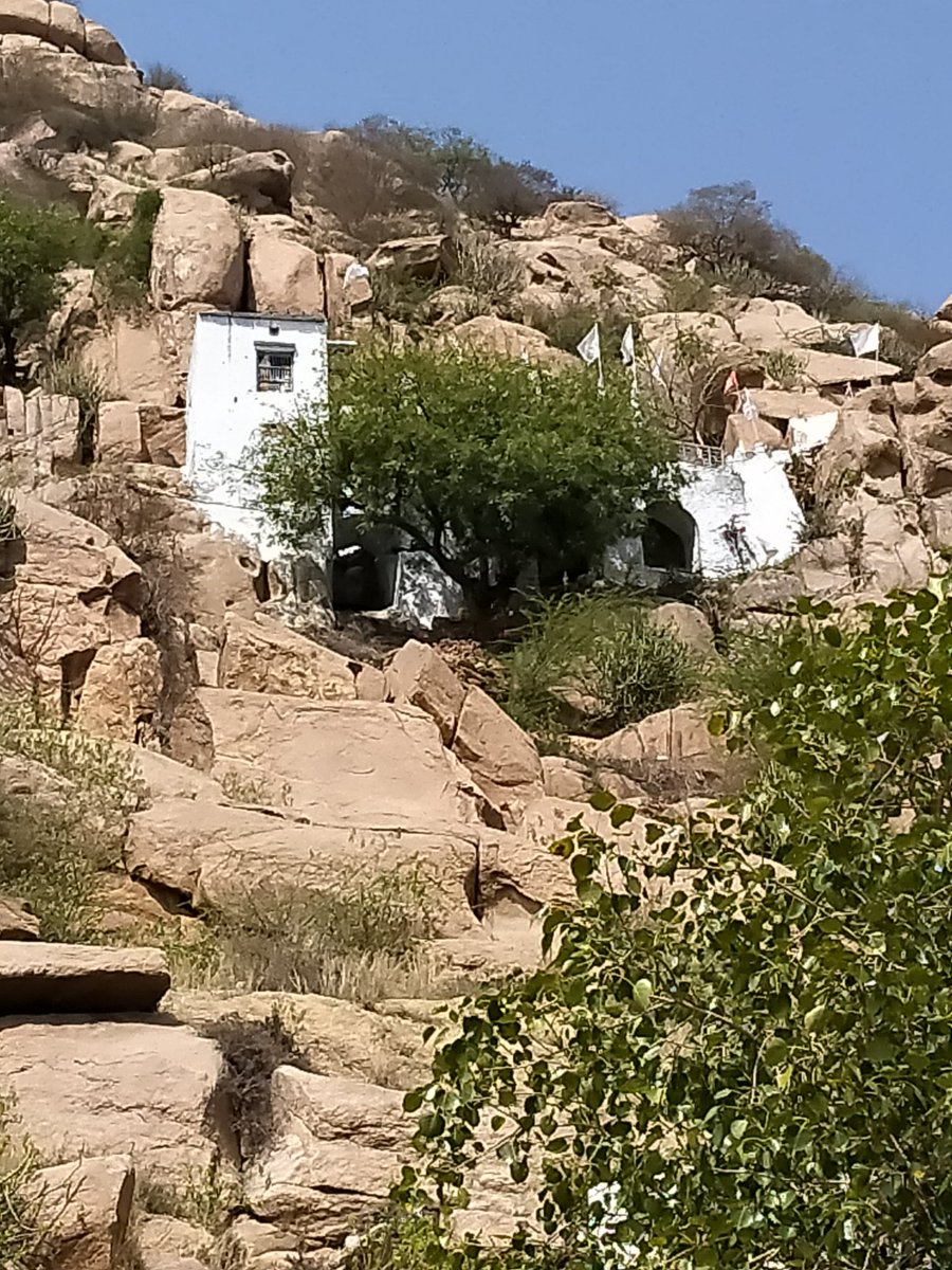 In March, just before the lockdown, I climbed up up Dhosi hill with  @ArjunSKadian. Near Haryana Rajasthan border, this hill has great historical importance as it was home to Rishi Bhrigu & his clan.1/n