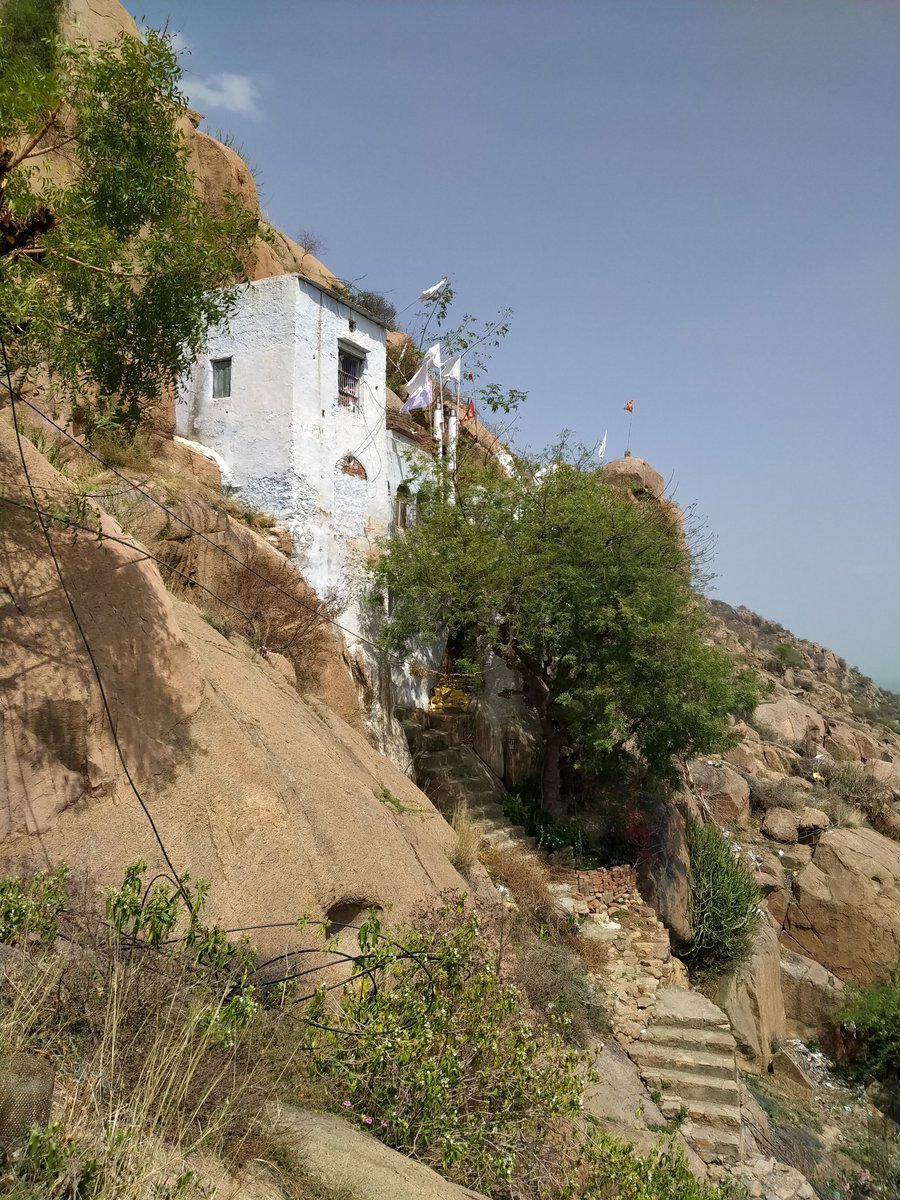 In March, just before the lockdown, I climbed up up Dhosi hill with  @ArjunSKadian. Near Haryana Rajasthan border, this hill has great historical importance as it was home to Rishi Bhrigu & his clan.1/n