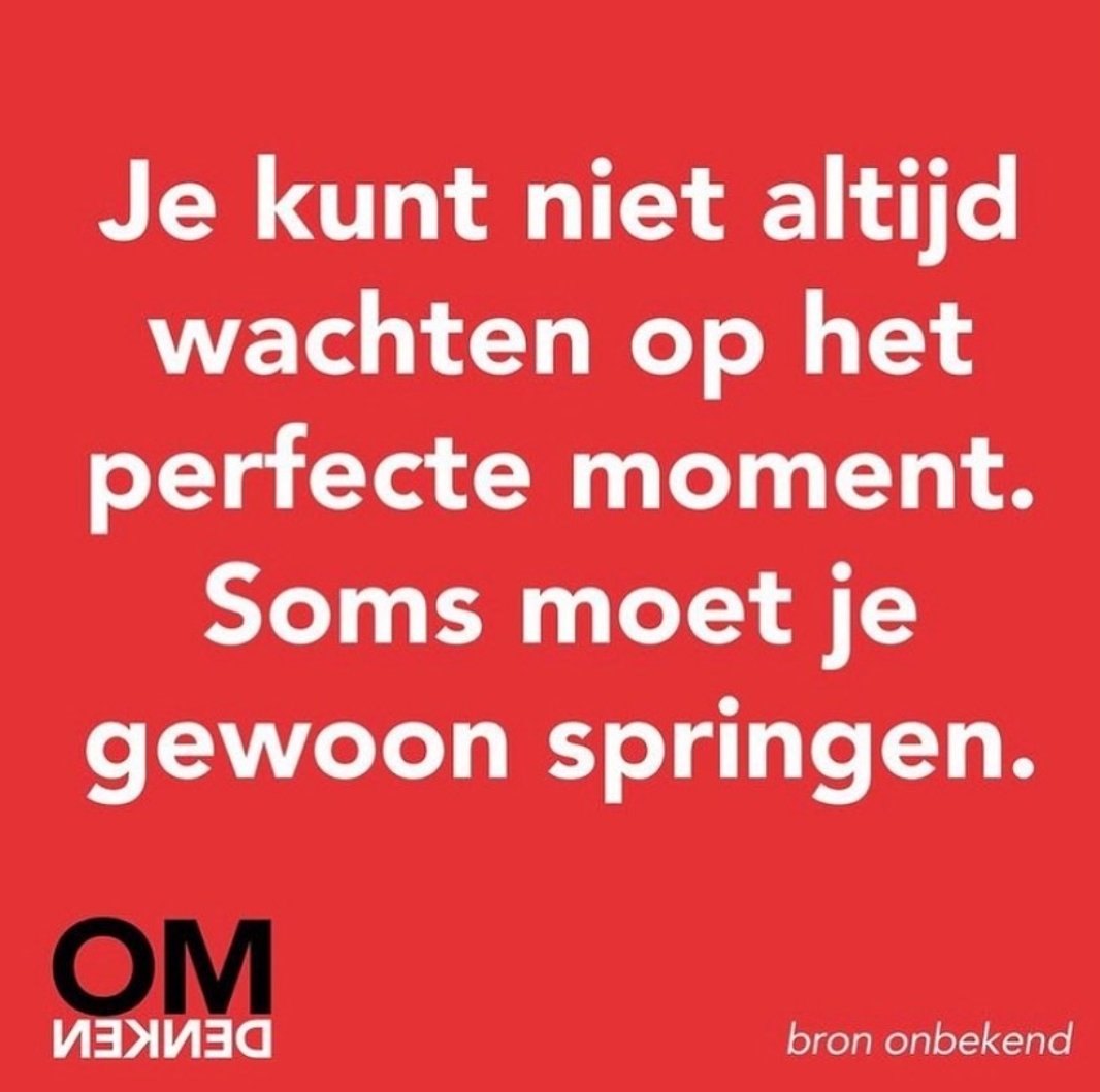 JosevdPijl's tweet image. Om dit weekend mee in te gaan #jumpandthenetwillappear