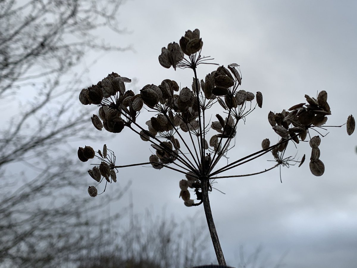 The stream crosses the path with this small but fertile patch of uncultivated ground that floods in winter. The path has been built up over centuries to keep passing feet dry.