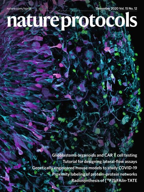 Fadi Jacob tweet media