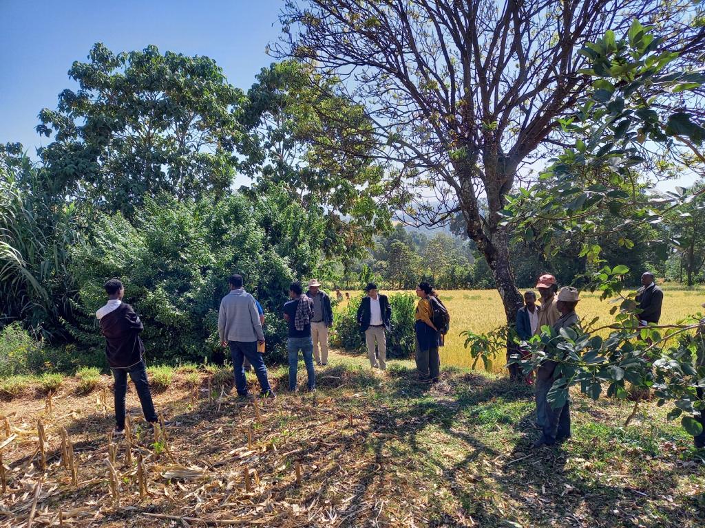 RemiMarechaux's tweet photo. 1/5 This week I dedicated my 2nd field trip to the projects lead by FR NGO #InterAide who intervenes since 1998 in Ethiopia’s Southern region to increase resilience and revenue of farmer families living in high lands in 20 woredas and is supported by a 5 M€ grant of @AFD_France https://t.co/3p7vYUz41q