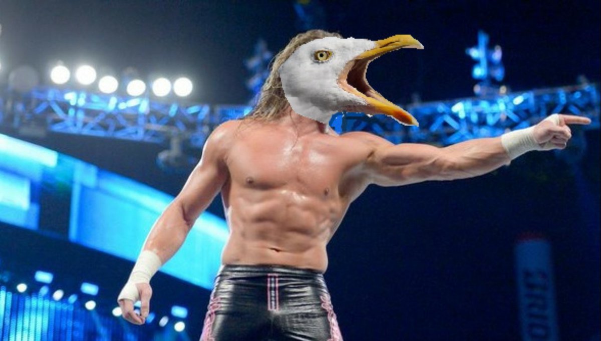 Vitastacious's tweet image. Dolph Seagull