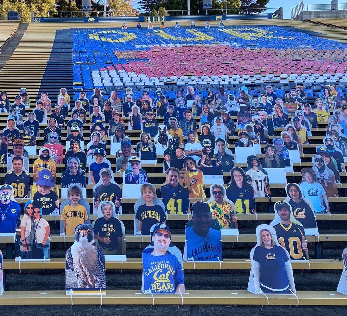 I can’t be at the 123rd Big Game in person, but my cutout is there cheering for the Beats.  #GoBears #keepingtheaxe #BigGame