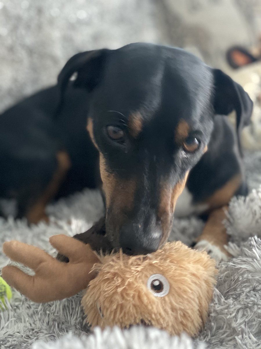 Liezel V 🦒 tweet media