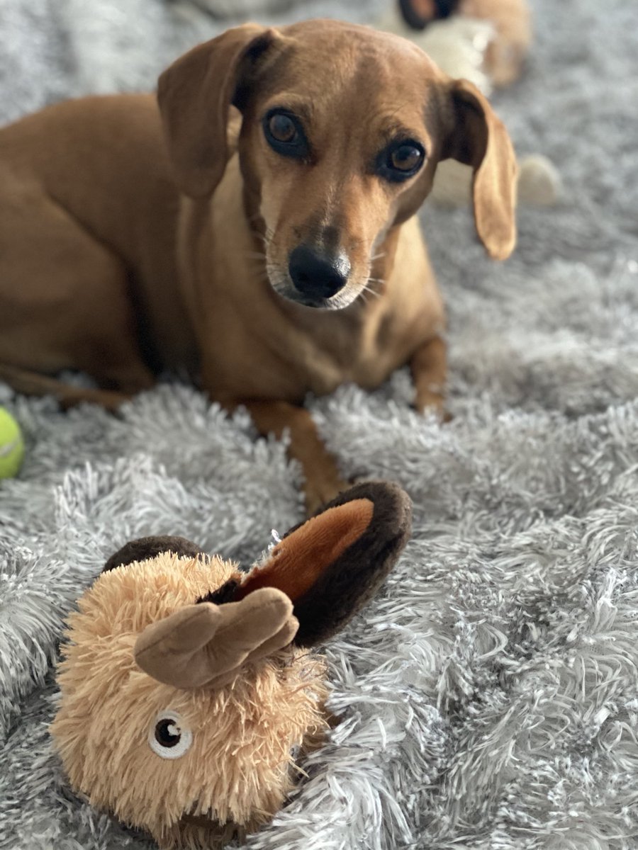 Liezel V 🦒 tweet media