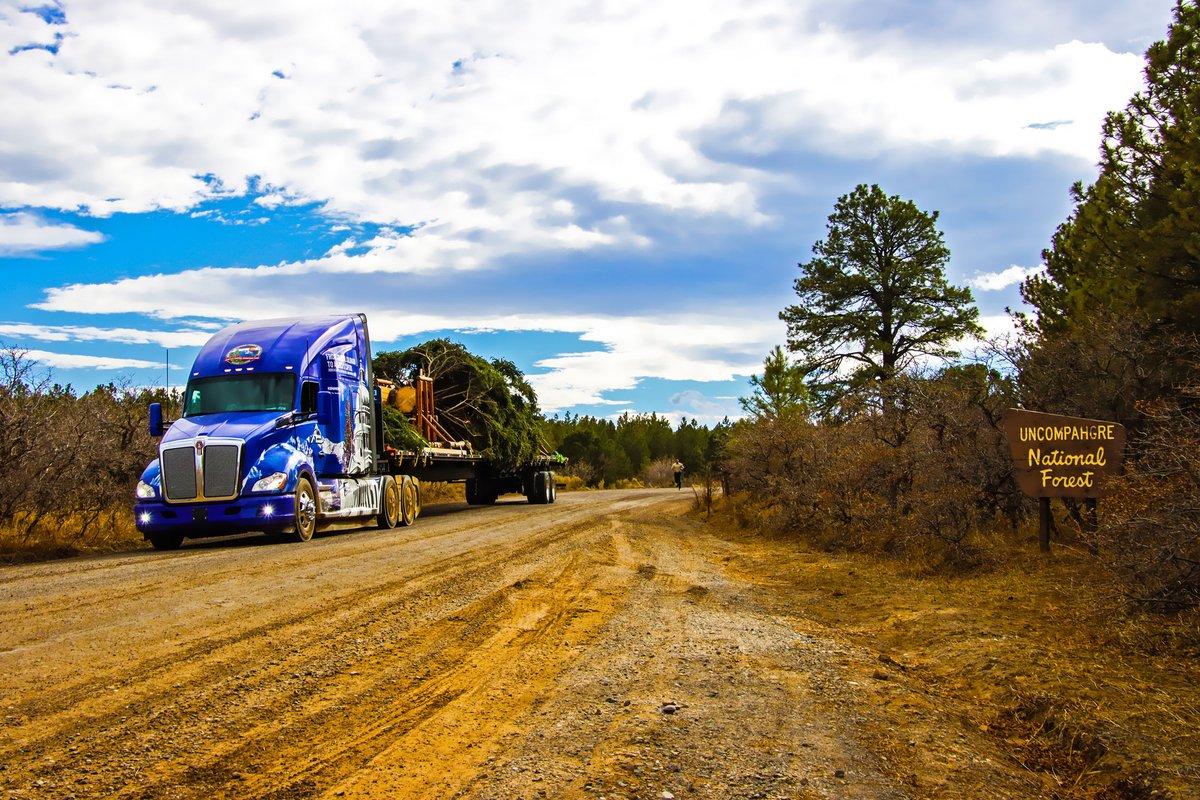 HaleTrailer's tweet photo. #HALE #HaleHasIt #HaleTrailer #HeavyHaul #HeavyHauler #haul #hauling #transport #truck #TruckDaily #trucking #truckin #trucker #truckrental #rental #heavyequipment #ExperienceYourNature #USCapitolChristmasTree2020 #GMUGCapitolChristmasTree #ItsAllYours #manac #manactrailers https://t.co/9cgshhZPzF
