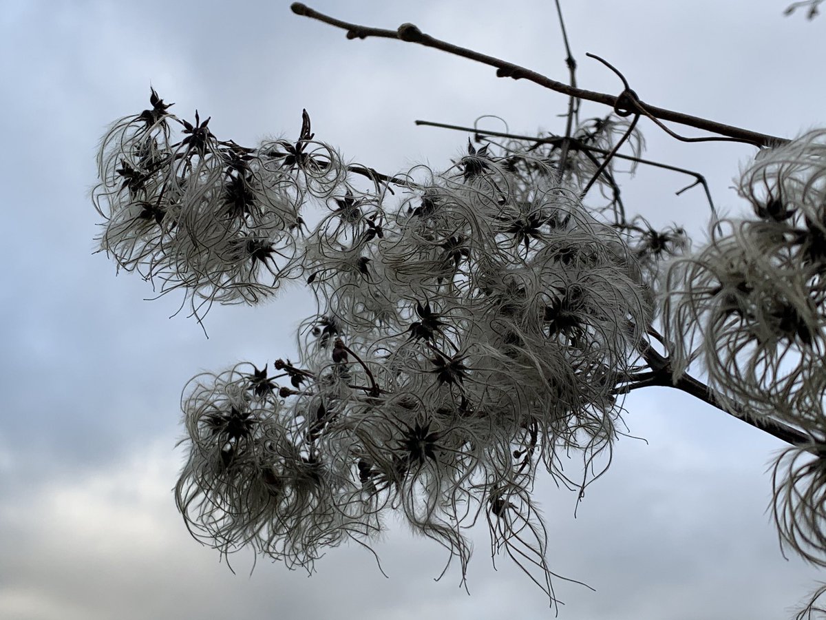 Oh go on then...one last tweet in this thread. Couldn’t leave these out, could I!