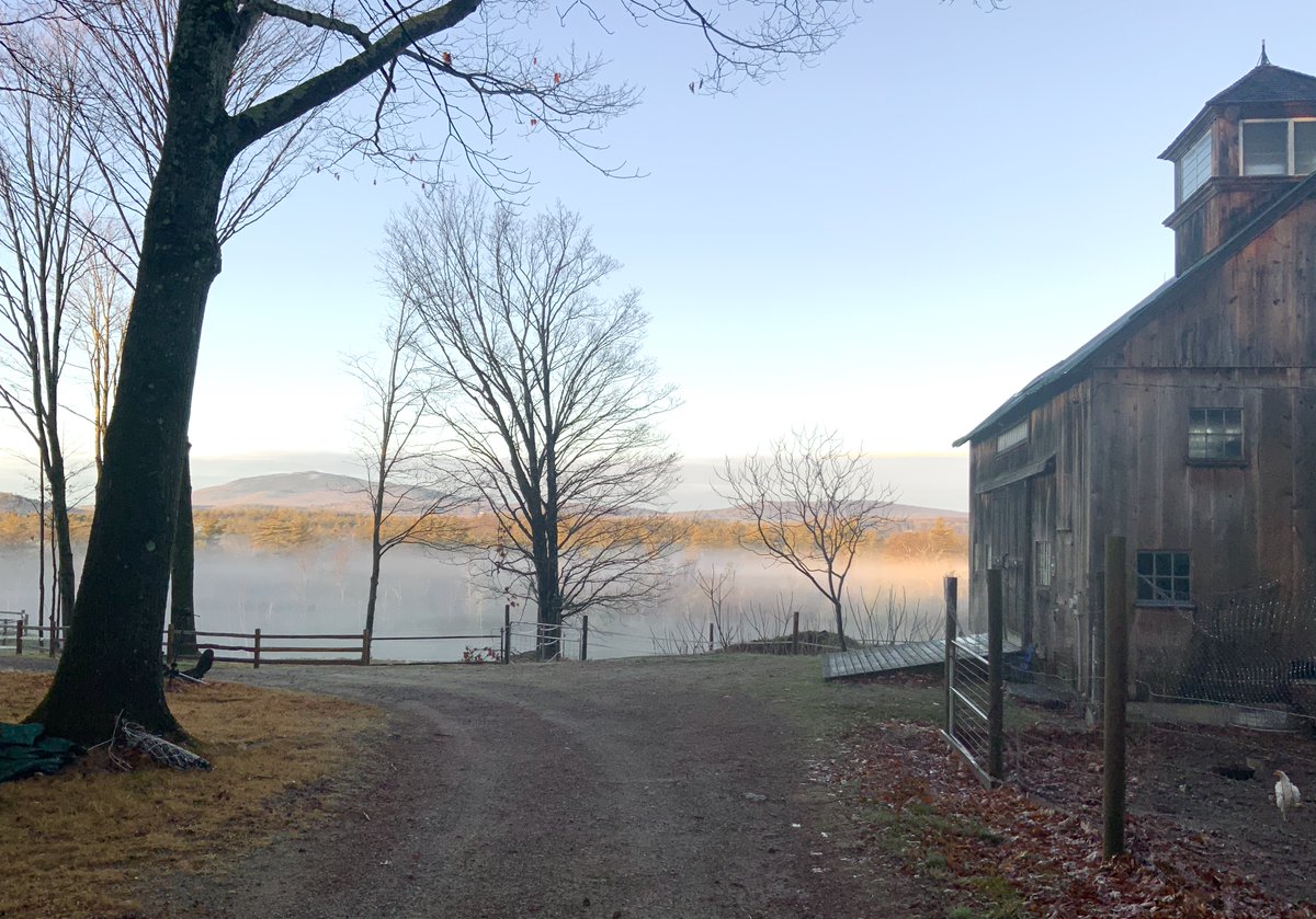 LucasSky1998's tweet photo. Silver morning fog surrounding Lucas’ barn.
Last night the horses got a warm mash made from crimped oats, beet pulp, barley, flaxseed, carrots, apples. Being a vegetarian, their mash was my kinda cup of tea.🥕🍎
#thankful #newengland #cavalor #mashandmix #ultrapremium #feed https://t.co/chB1hwIDSn