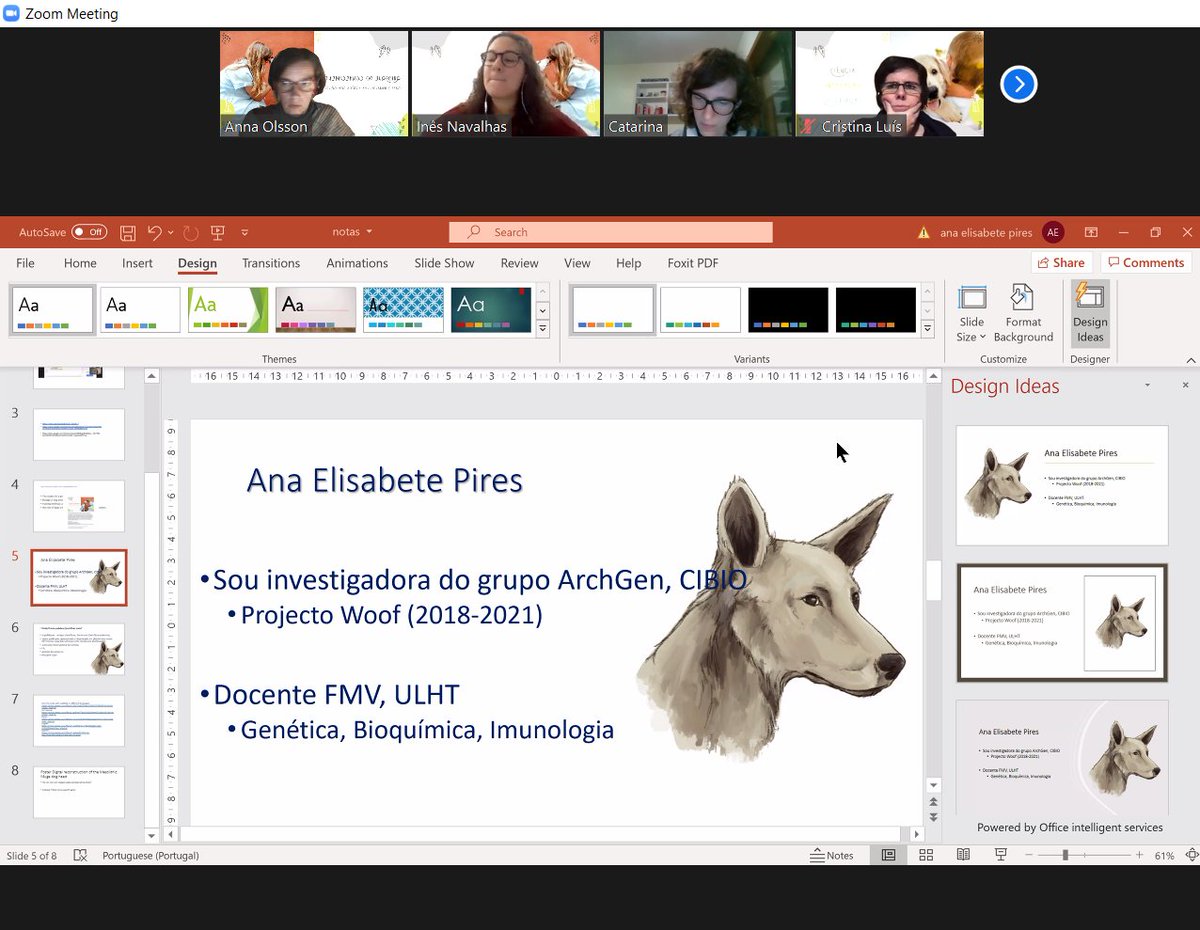 animalogues's tweet photo. Spending my Friday night in a European Researchers Night activity on dogs and science, online! @cristinamsluis @newhorrizon https://t.co/8q8wcmGbnU