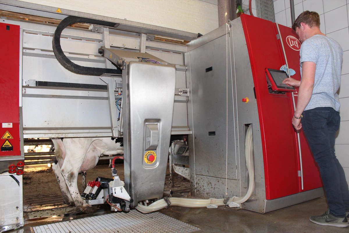 borkener's tweet image. Auch im Kreis Borken melken immer häufiger #Melkroboter die #Kühe. Neben BoLa-Autor Felix Epping nutzen noch 62 Betriebe  im Westmünsterland die Technik, bei der die Kühe selber entscheiden können, wann sie gemolken werden. Größter Vorteil für Felix: Mehr Zeit für Tierkontrolle.