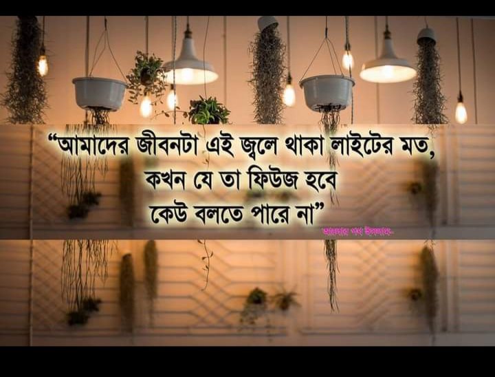 MJillurRahman's tweet photo. কোন মহাবীর, মহাপুরুষ, মহাত্মা— তাদের কেউই মৃত্যু থেকে পালাতে পারেনি। আপনিও পারবেন না। মৃত্যু আপনার অস্তিত্বের মতোই সত্য।

সত্যিকার মহাত্মারা মৃত্যুকে প্রস্তুতি নিয়ে আলিঙ্গন করে। মৃত্যুর সাথে যুদ্ধ হয় না, জড়াজড়ি হয়। https://t.co/sBP15uH1lk