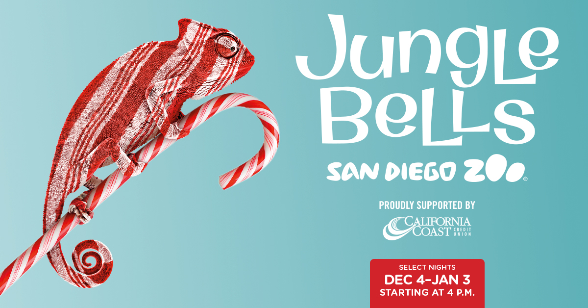Where Traveler Orange County (@whereoc) on Twitter photo ‘Tis the season to visit the <a href="/sandiegozoo/">San Diego Zoo Wildlife Alliance</a>, which will be decked out with festive lights and decorations ✨ Guests can enjoy safe, socially distanced entertainment as they say hello to their favorite animal friends! ❤️ See website for more info: zoo.sandiegozoo.org/junglebells #sponsored ‘Tis the season to visit the <a href="/sandiegozoo/">San Diego Zoo Wildlife Alliance</a>, which will be decked out with festive lights and decorations ✨ Guests can enjoy safe, socially distanced entertainment as they say hello to their favorite animal friends! ❤️ See website for more info: zoo.sandiegozoo.org/junglebells #sponsored