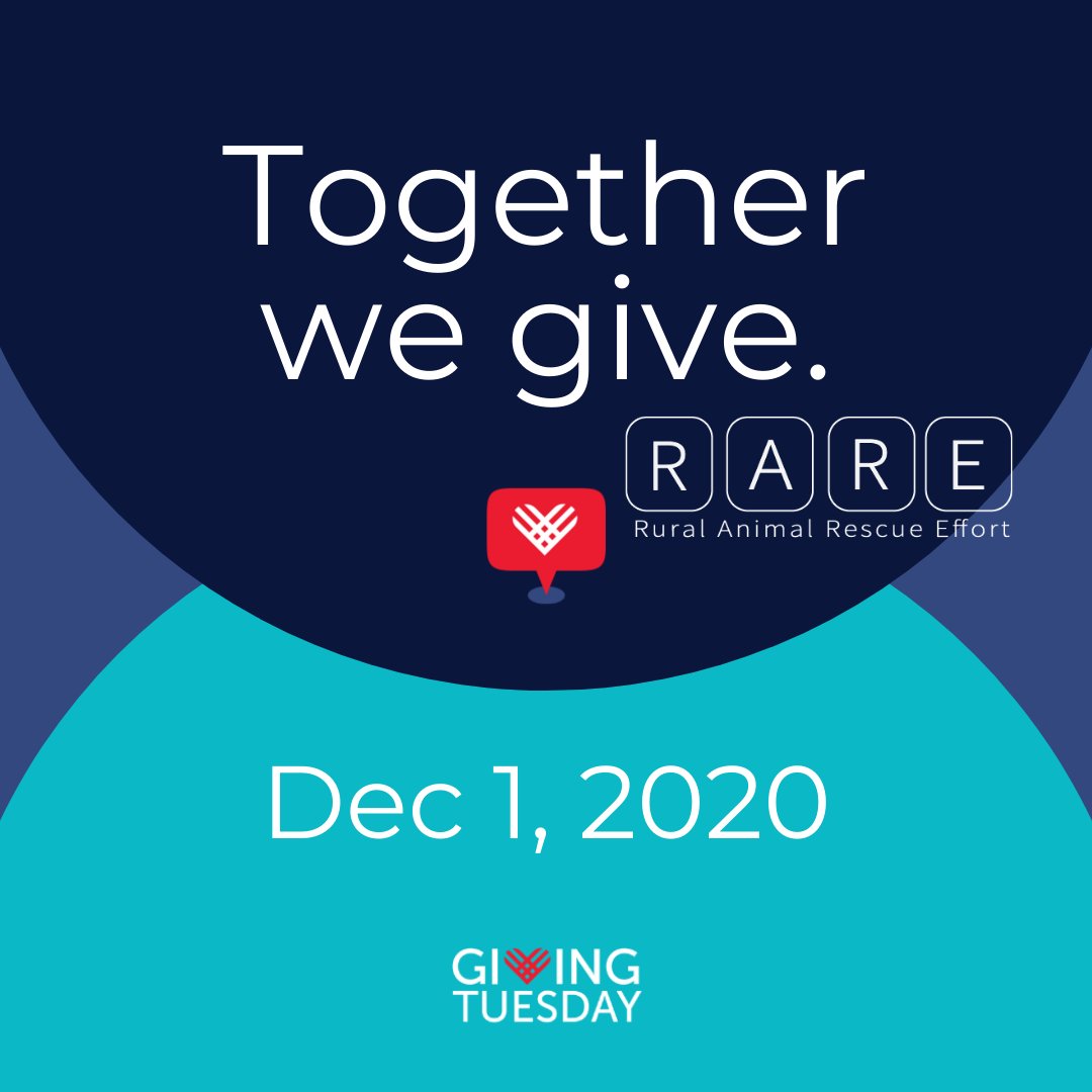 TWO DAYS until #GivingTuesday! We've eaten the turkey, done the shopping, and hung up the Christmas decorations. Now it's time to give! #catchkindness and #spreadgenerosity Dec 1st by donating to RARE and tagging 5 friends to the same. Details on our website.