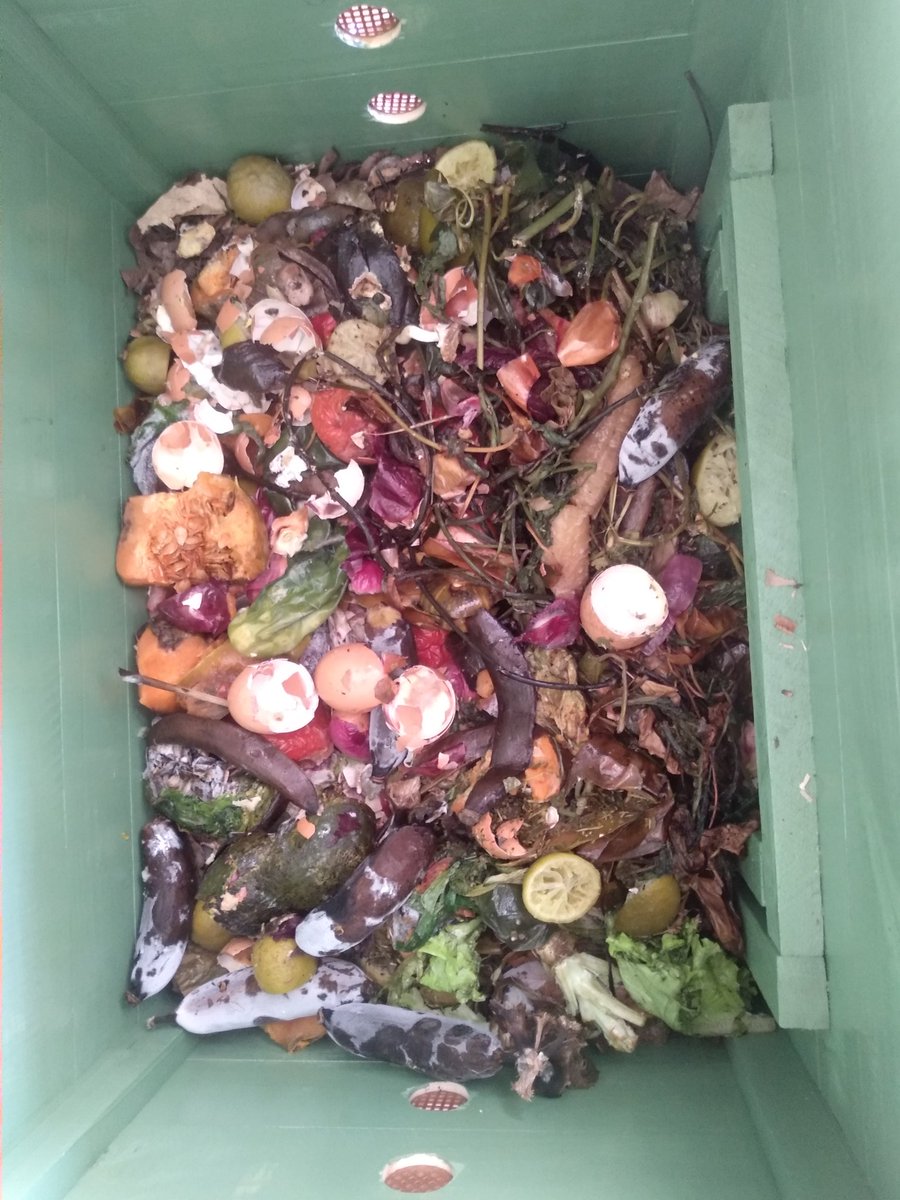 cesanz's tweet image. Empieza el largo proceso de convertir residuos en abono puro 👌🏻 🌱 #Compost #CompostCasero #compostera #compostaje #miravosqueinteresante #huertaencasa #huertaurbana