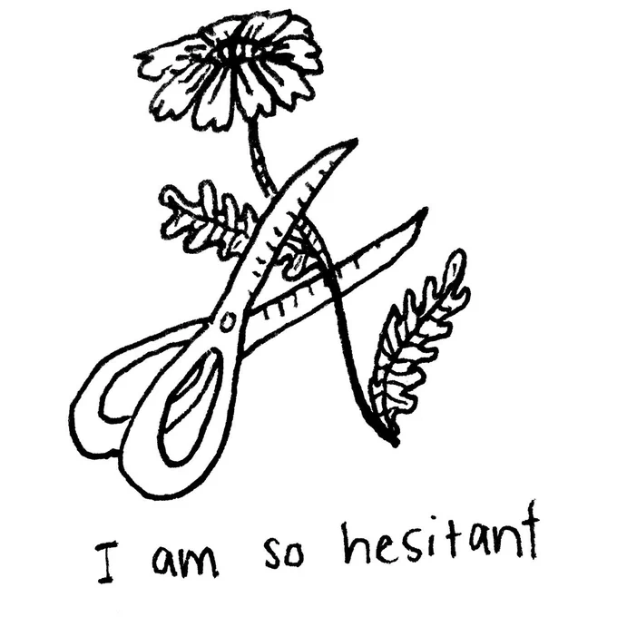 I AM SO HESITANT TO CUT YOU OFF. 