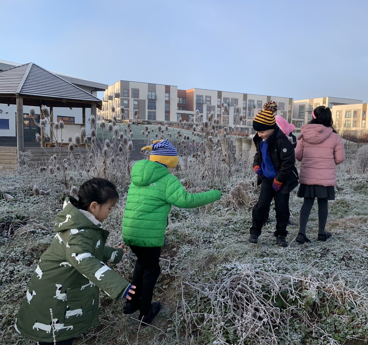 Y1WFA's tweet photo. We went on a wintery walk in the frost this morning. We discovered crunchy grass and sparkly cobwebs 🕸 #wfascientists https://t.co/qSwpjm3yMS