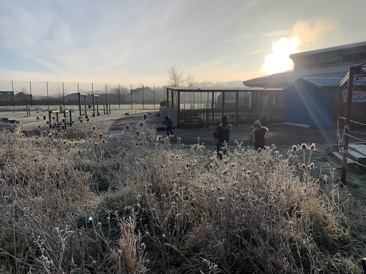 Y1WFA's tweet photo. We went on a wintery walk in the frost this morning. We discovered crunchy grass and sparkly cobwebs 🕸 #wfascientists https://t.co/qSwpjm3yMS