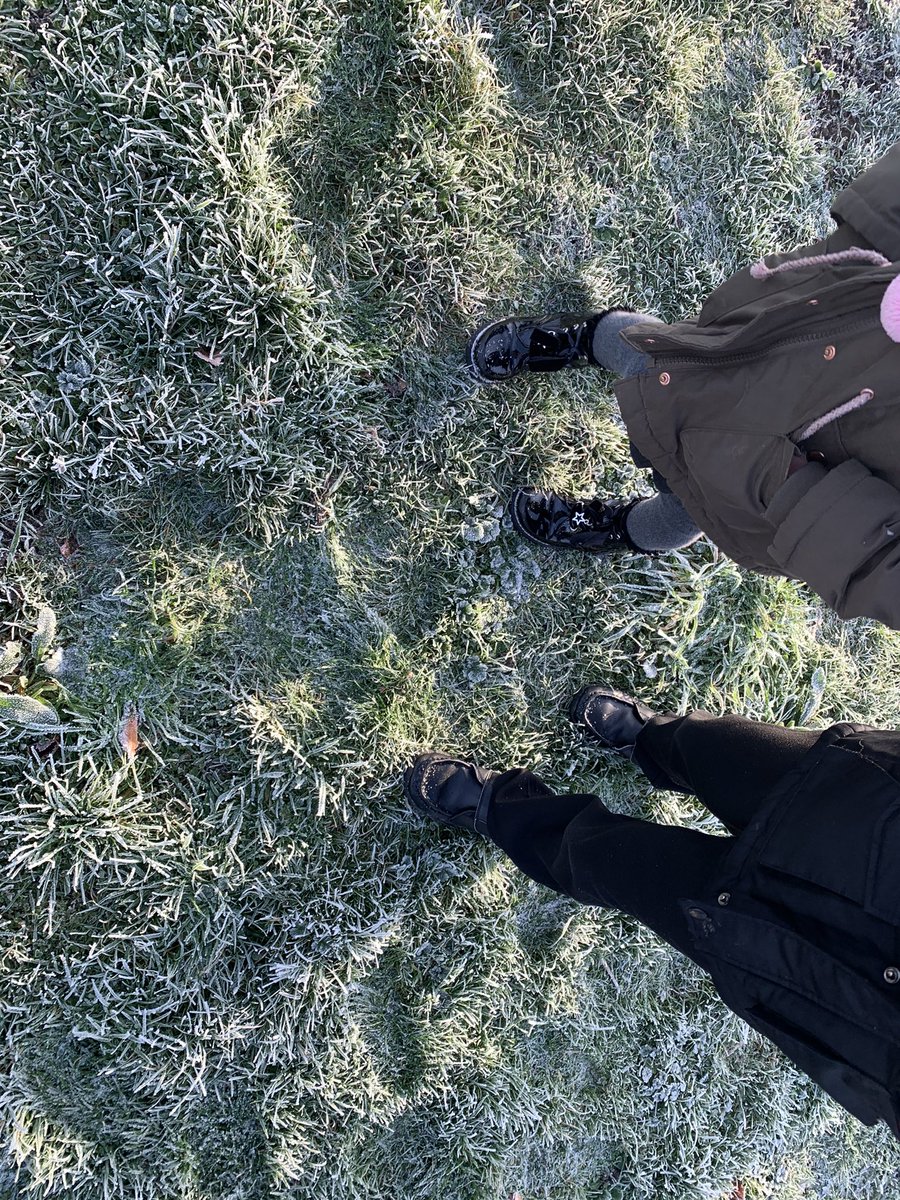 Y1WFA's tweet photo. We went on a wintery walk in the frost this morning. We discovered crunchy grass and sparkly cobwebs 🕸 #wfascientists https://t.co/qSwpjm3yMS