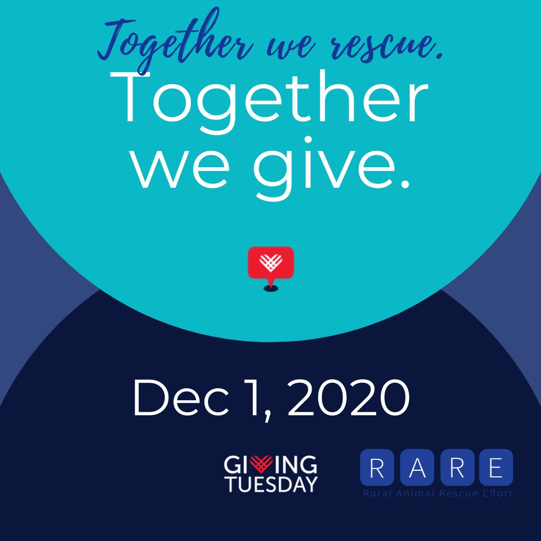 Tomorrow is the day!!! Let's join together and do some good. Donate any amount to RARE, post the "I Caught Kindness..." graphic, and tag 5 friends. See our website fore more details. rareresceu.org
