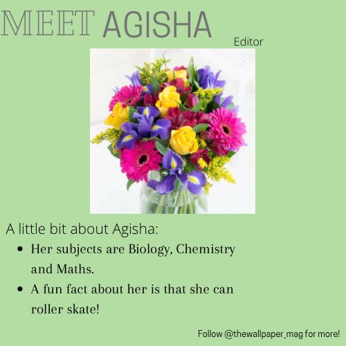 whsg_mag's tweet photo. Meet the fourth set of our school magazine team: Paige, Agisha, Hannah & Shanin! #whsg https://t.co/NQ7yCG4ddc