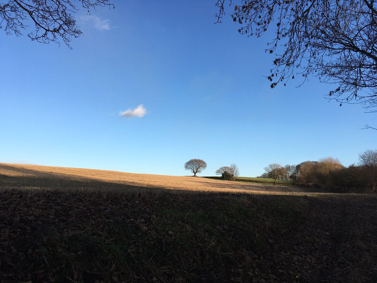 Lunchtime walks - make time for fresh air and movement in your life. The way it makes you feel on days like these is priceless.
