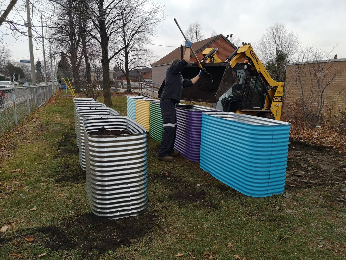 harmony_cfc's tweet image. Exciting day over at @TDSB_GW  today finally setting up new garden bins. A very passionate crew of staff &amp;amp; admin have kept this project alive during this challenging year. Spring planting here we come! 🌻☀️🦋🐝🥬🍓#schoolgarden #communitygarden #communitycollabs @SRiverdaleCHC