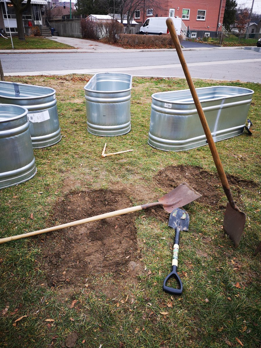 harmony_cfc's tweet image. Exciting day over at @TDSB_GW  today finally setting up new garden bins. A very passionate crew of staff &amp;amp; admin have kept this project alive during this challenging year. Spring planting here we come! 🌻☀️🦋🐝🥬🍓#schoolgarden #communitygarden #communitycollabs @SRiverdaleCHC