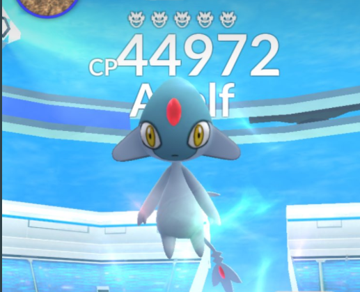 papillon tweet media