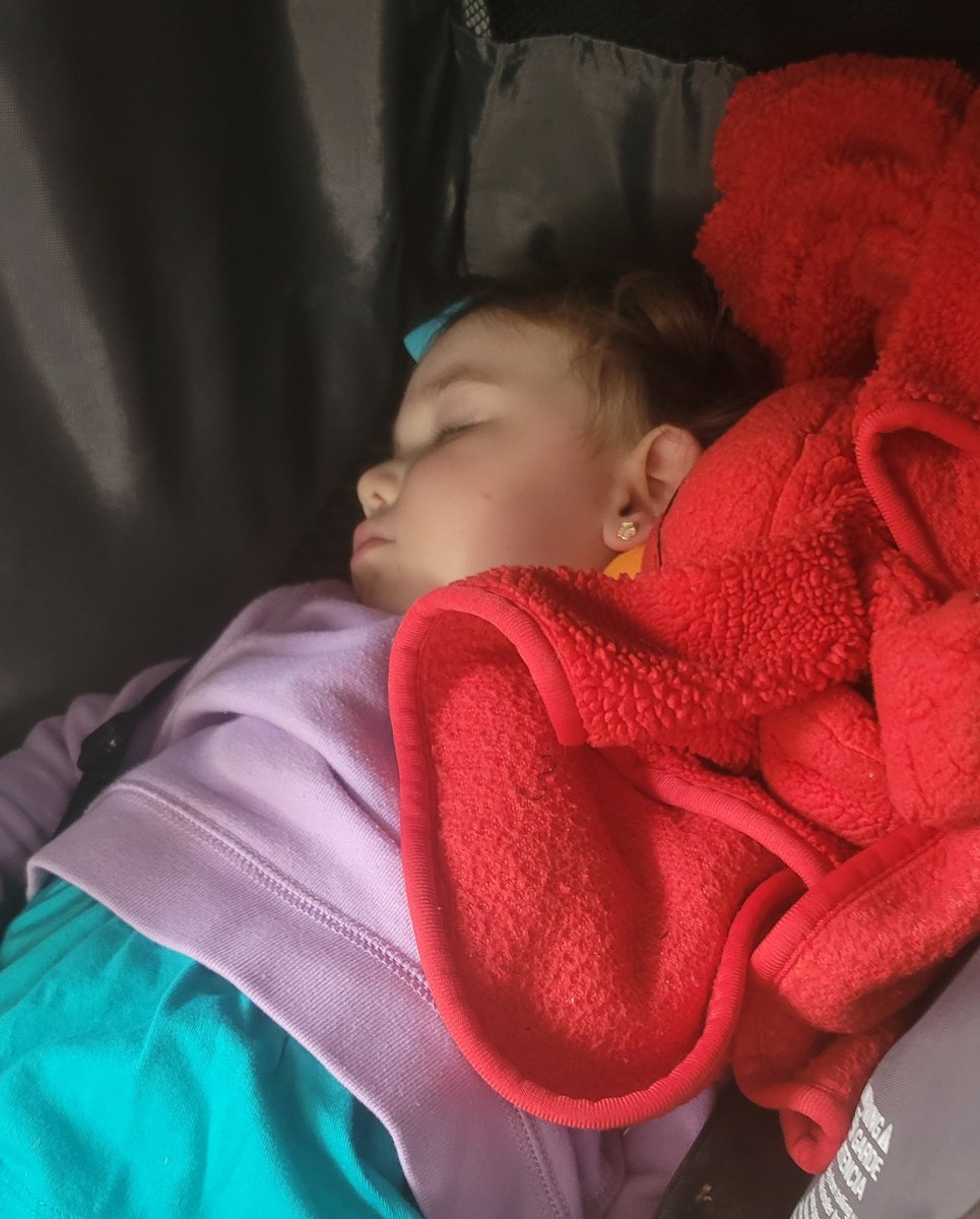 My daughter is enjoying this tour of DC with her family from out of town.