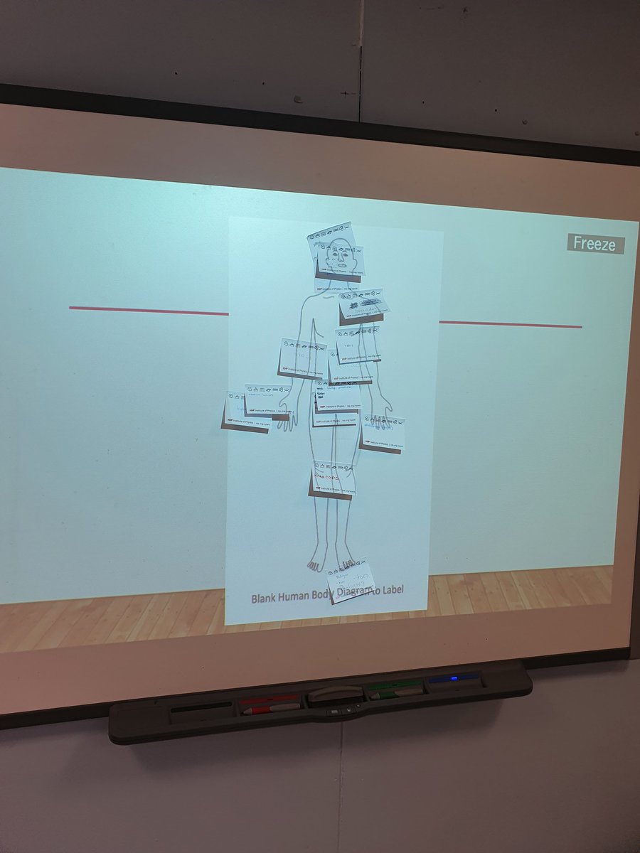 BioGardner's tweet photo. 3A2 started off today with a challenge on body systems and body part locations. @PHD_Biology https://t.co/c5iNJiKd7z