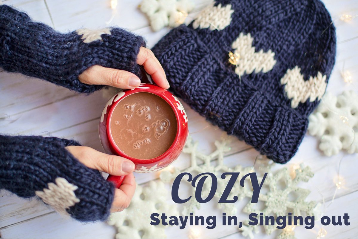 OneVoice_CLT's tweet photo. New virtual concert for the holidays!  #cozy #singingout #holiday https://t.co/zV1XpwPbNb