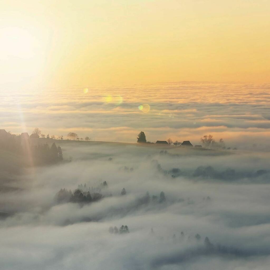 commafactory's tweet photo. «I paint the fog – I think of its fresh moistness – its stillness – its mystery». (Douglas Lockwood) 🎨🖼😎 #ChasingSun #SeaOfFog #whataview
.
#Gubel #Menzingen #Zug #abovetheclouds #closetoheaven #Switzerland #MySwitzerland #InLoveWithSwitzerland #inlo… https://t.co/eXwl7l7i6X https://t.co/5t7QRTJTAf