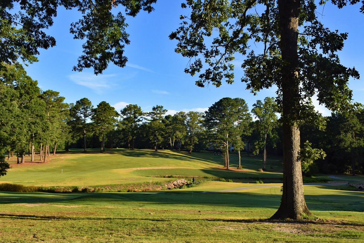 collinshillgolf's tweet photo. ⛳A tee time is exactly what you need this weekend!⛳
https://t.co/e6pz6ausKe https://t.co/quxqJ88W1P