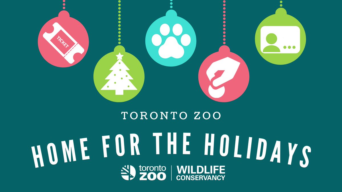 TZWConservancy's tweet photo. Our #HomefortheHolidays ❄️ fundraising campaign will help @TheTorontoZoo care for over 5,000 animals by offsetting revenues lost from not having our valued guests on Zoo site. 

For more information our to join our #GivingTuesday initiative: https://t.co/gLH1Je4x6u 💚 https://t.co/3DCQ9s3tB1