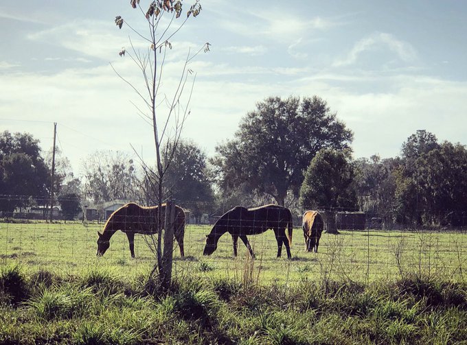 Michelangelo, Rafael, and Bradley. Leonardo and Donatello are off fighting crime I guess. https://t.