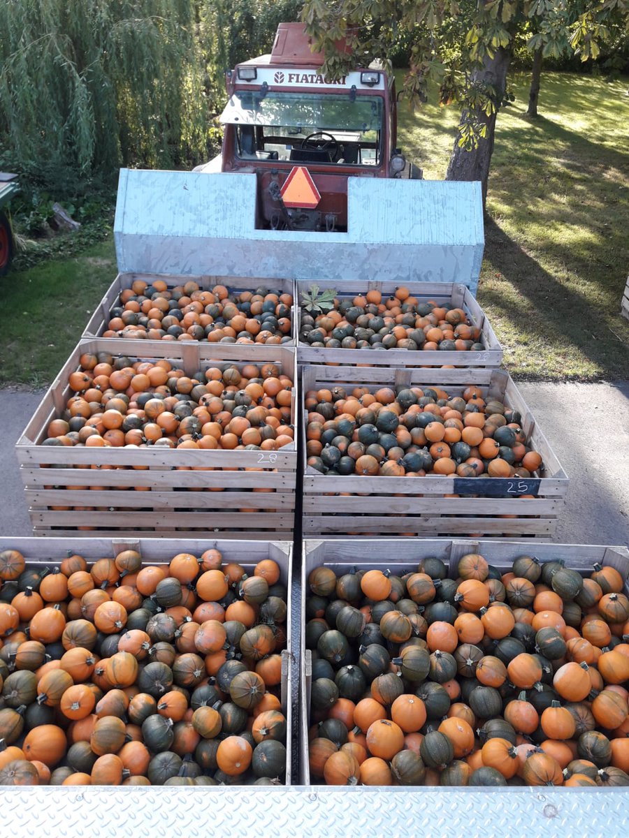 Het seizoen zit er bijna op! - mailchi.mp/6e480773f70c/h…